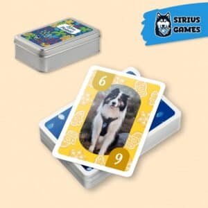 Jeu du Zéro Pointé